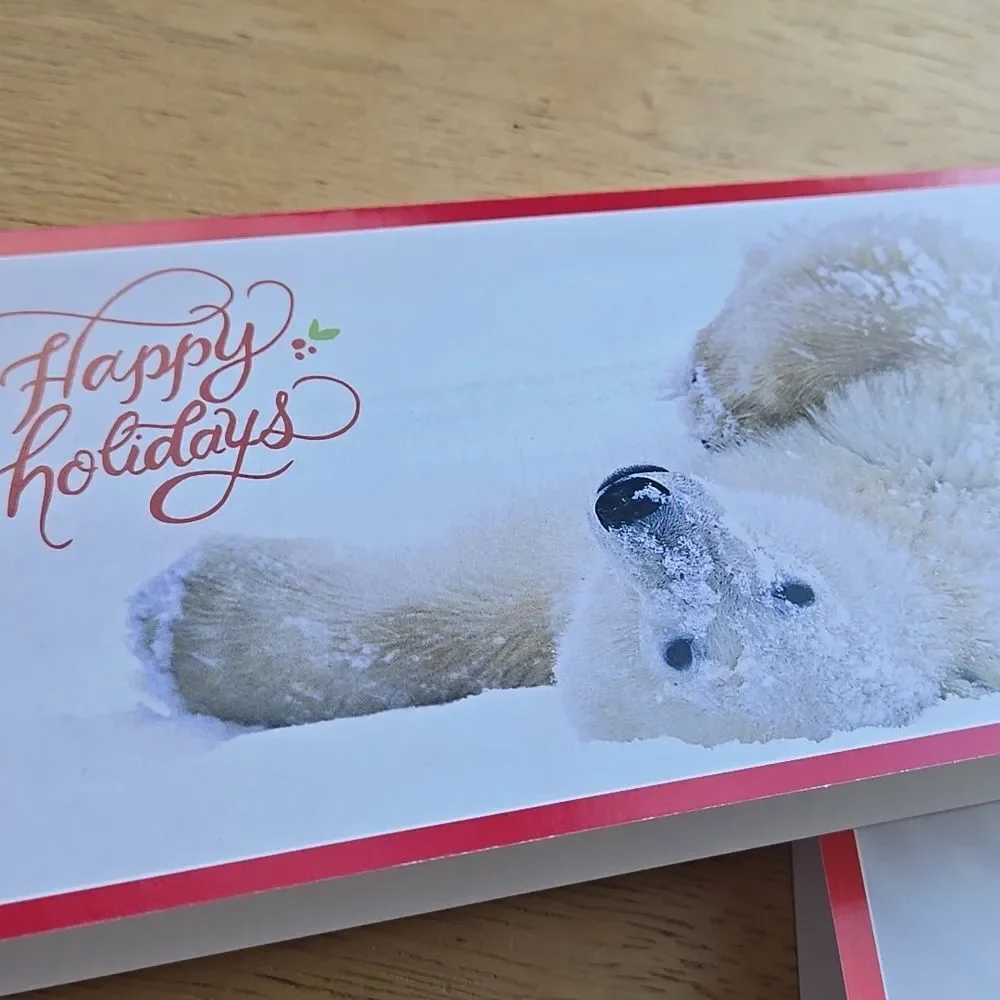 Festive Holiday Cards Red Green White Seasons Unisex Christmas 5 Card Bundle